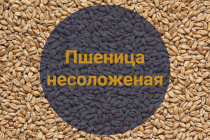 Пшеница несоложеная (Приволжская мельница), 1 кг